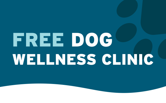 Light Blue and White Text Reading Free Dog Wellness Clinic. Text is on a dark blue background