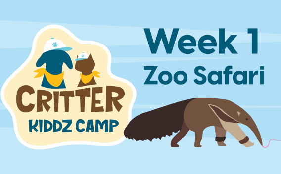 Critter Kiddz Camp Week 1 Thumbnail Image