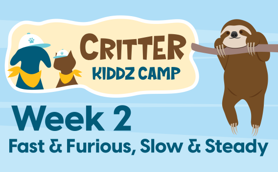 Critter Kiddz Camp Week 2 Thumbnail Image