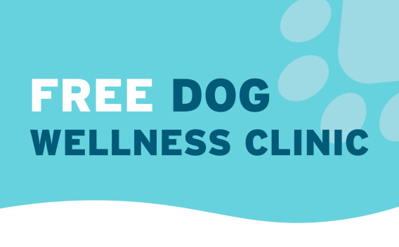 Type on blue background reading Free Dog Wellness Clinic