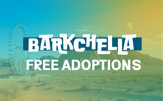 Thumbnail for Barkchella Adoption Event