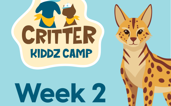 Thumbnail for Critter Kiddz Camp Week 2
