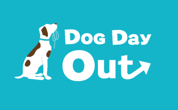 Dog Day Out Foster Field Trip