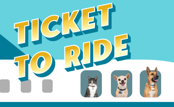 Ticket to Ride