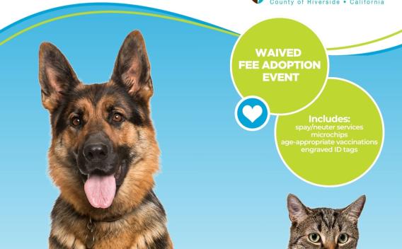 Flyer for Bissell Empty the Shelters Free Adoption Event July 5-19, 2025