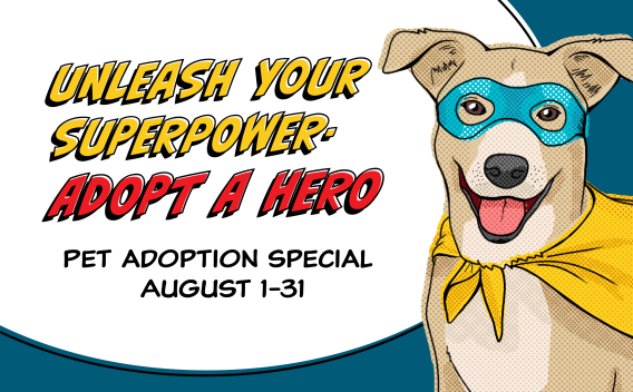 Unleash your Superpower Free adoption event Thumbnail