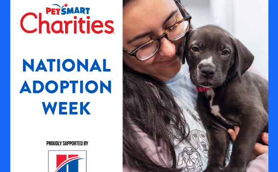National Adoption Week flyer 