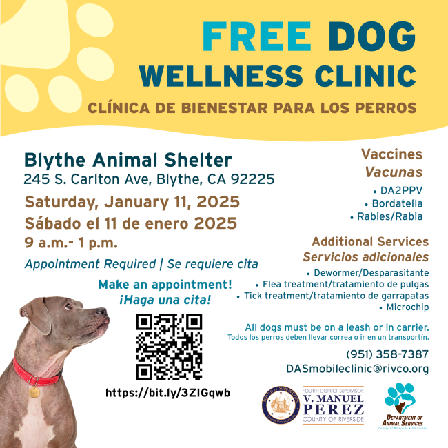 Flyer for January 11 Wellness Clinic in Blythe
