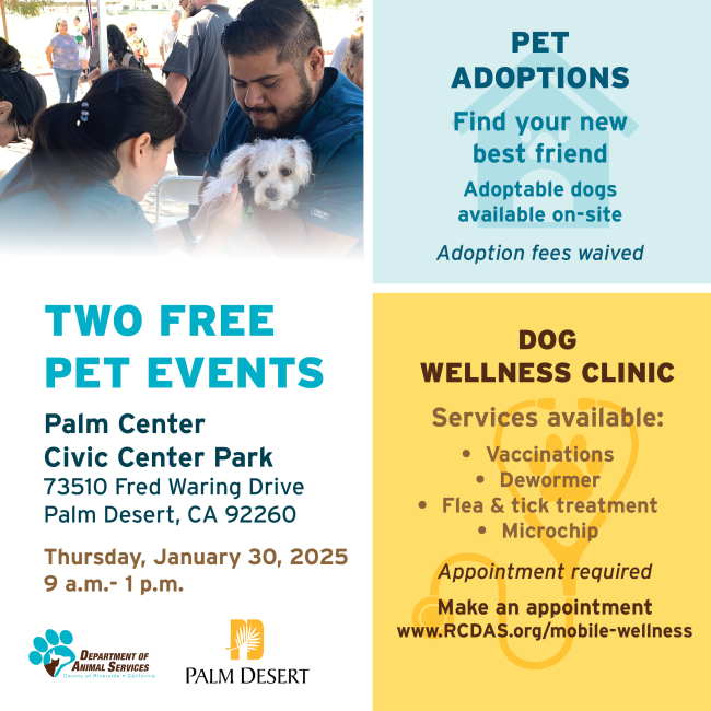 Flyer for January 30 Wellness Event at Palm Desert