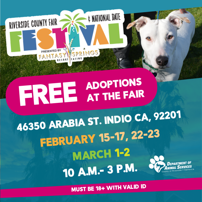 Flyer for Free Adoptions at the Riverside County Fair and Date Festival
