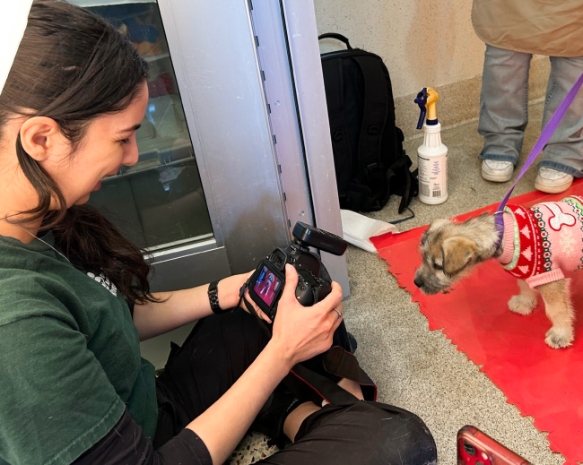 Volunteer pet photographer seated on the ground of a photo studio, smiling while reviewing their camera. They are seated in front of a small terrier dog wearing a sweater.
