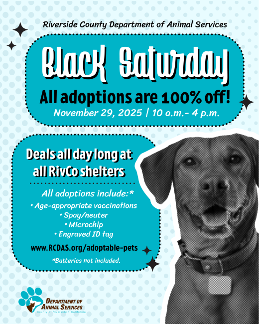Flyer for Black Saturday Adoption Event