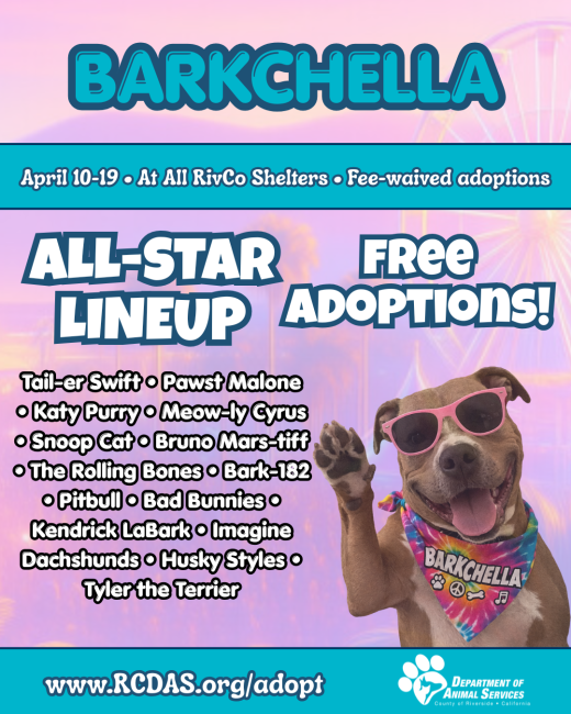 graphic promoting adoption