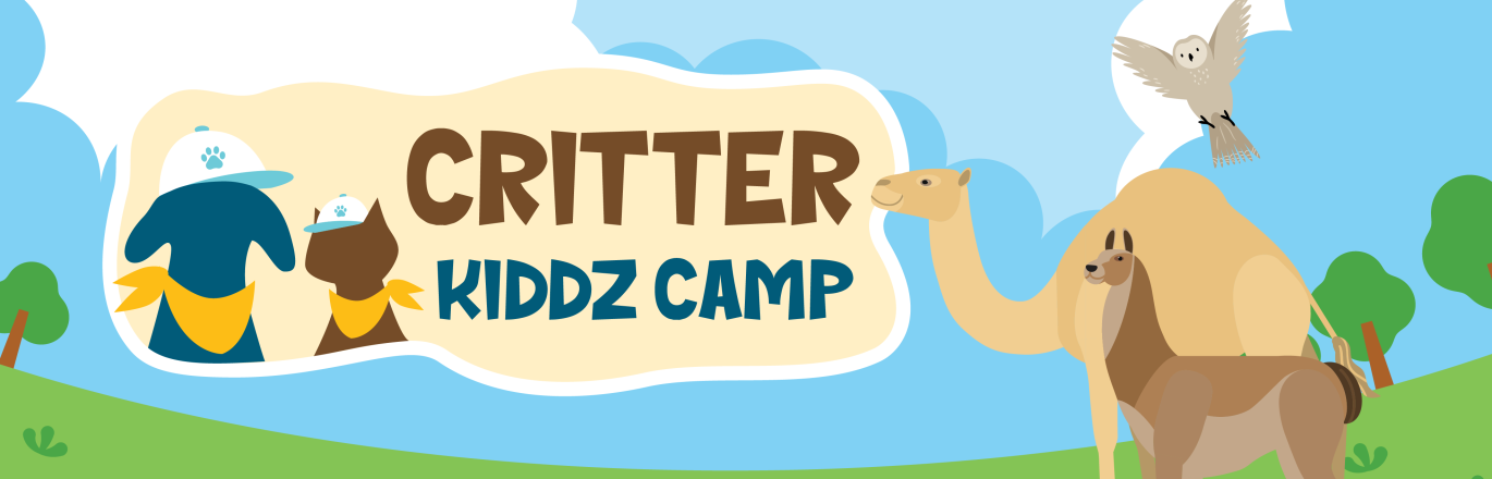 Critter Kids Camp Logo. There are illustrated depictions of a camel, llama, and owl over a background of blue sky with white clouds and green trees.