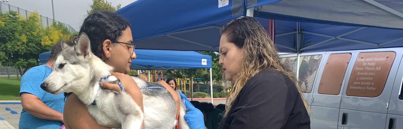 Veterinary technician vaccinating a husky puppy that is being held by its owner