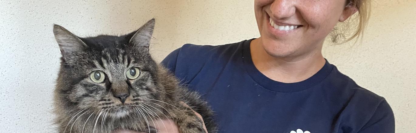 Riverside County Department of Animal Services Animal Technician Alison Chavez holding Butters, a large grey striped cat