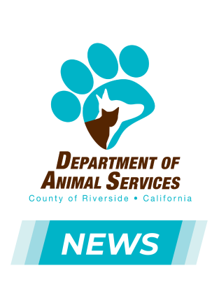 Department of Animal Services Logo on White Background. Underneath, there is a blue box with white text that reads "news."