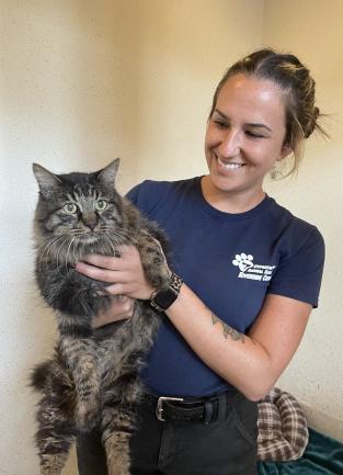 Riverside County Department of Animal Services Animal Technician Alison Chavez holding Butters, a large grey striped cat