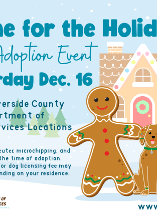 Illustration of a person, dog, and cat made out of gingerbread in front of a gingerbread house in front of winter scenery. Title text reads, "Home for the Holidays. Free Adoption Event. Saturday, December 16."