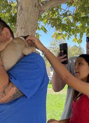 Young girl and her father looking at a pug puppy. The girl is reaching to pet the dog and the father is taking a photo. An Animal Services staff member holds the pug over his shoulder while they look.