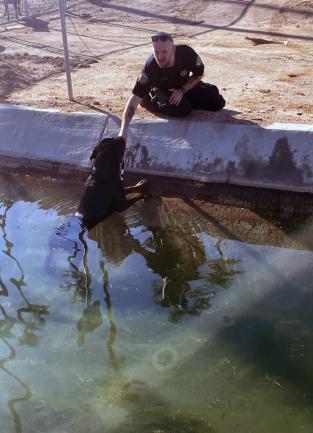Officer Cox Rescues Doberman Gage Canal