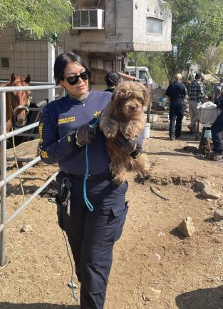 Female Animal Control Officer carries a small brown dog from a property in Sky Valley, CA