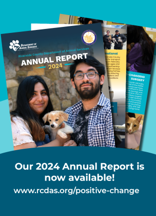Annual Report Announcement 2024