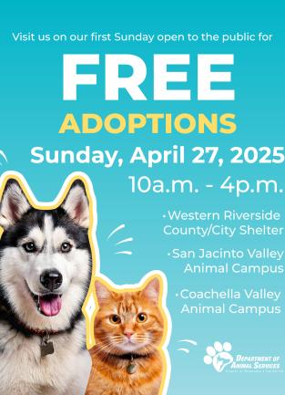 New Hours Free Adoptions