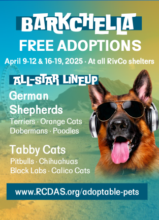 Flyer for Barkchella Free Adoption Event