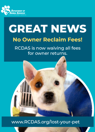 Fees Waived