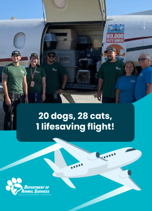 Flight Transport 7-27-2025