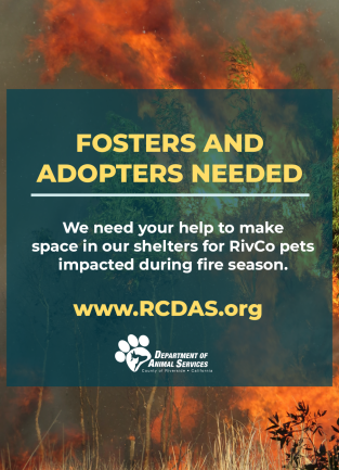 Fire Response Call To Action