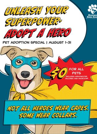 Unleash Your Superpower