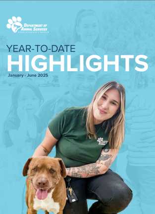 YTD Jan-Jun 2025 Thumbnail