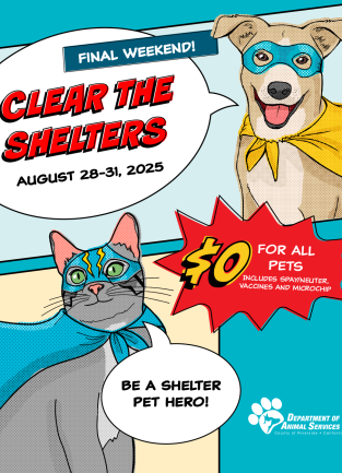 Clear the Shelters 2025