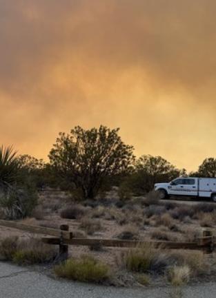 Rosa Fire 2025