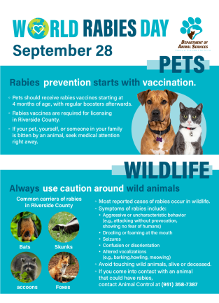 World Rabies Day 2025