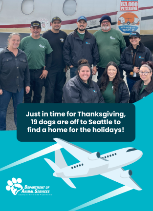 Image of Animal Services staff members standing in front of a plane. There is a cartoon plane at the bottom of the image.