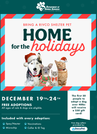 Flyer for Home for the Holidays Adoption Event 2025