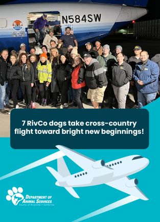 Group of people standing in front of a plane. It is nighttime.