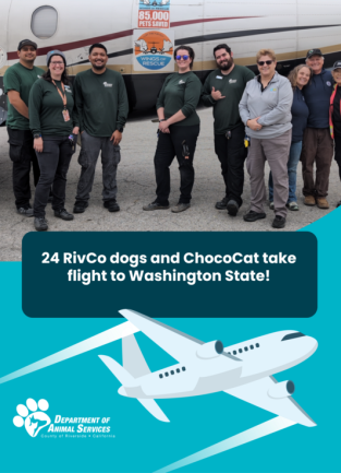 WOR Transport 2-10-2026