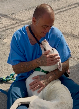 Man Sitting on the ground while petting a white dog. Dog is curled up in the man's lap.
