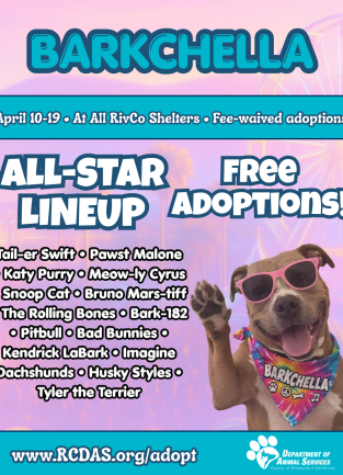 graphic promoting adoption