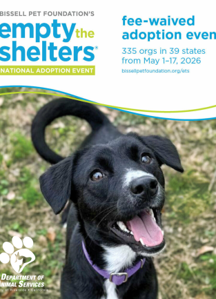 Bissell Pet Foundation empty the shelters flyer